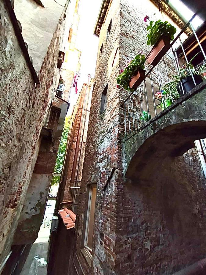 Piazza Napoleone Sweet Apartment Lucca Exteriör bild